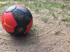 星空体育官网首页-全国老年人健身球操赛展银发激情，老年健身球类