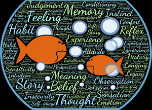 星空娱乐-法甲实际战术板使用率与胜率关系初步调查，法国套战术板